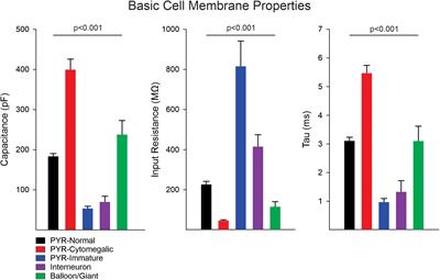 Paroxysmal Discharges in Tissue Slices From Pediatric Epilepsy Surgery Patients: Critical Role of GABAB Receptors in the Generation of Ictal Activity